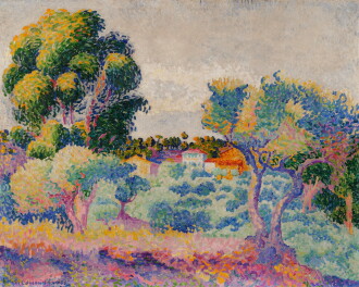 View 1 of Lot 115: Eucalyptus et oliviers