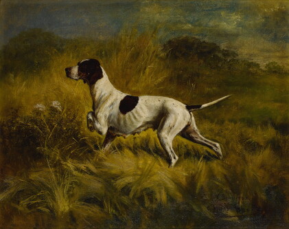 Catalog image of Bloomo II