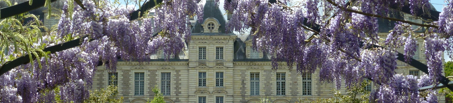 Château de Cheverny