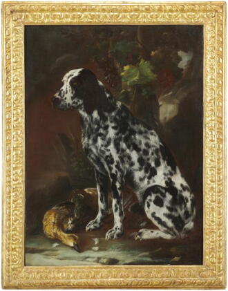 Catalog image of A bloodhound