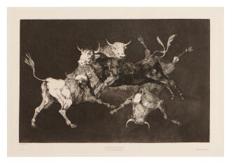 View 1 of Lot 166: Los Proverbios: Four Additional Plates (Delteil 220-223; Harris 266-269)