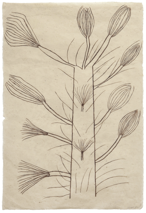 Image accompanying source report: Sotheby's Stages First Benefit Auction for LA ESCUELA___, Latin America's Wandering Art School
