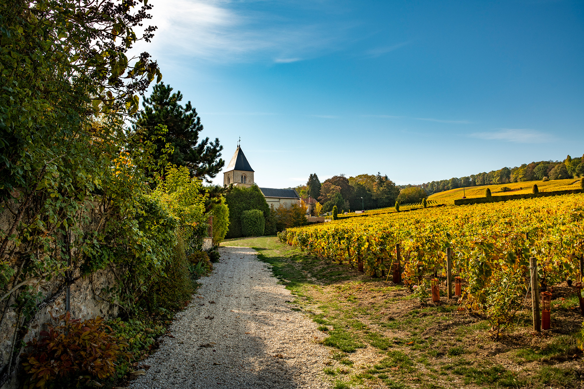 超希少) The keys to the wines of Champagne copy-of-lc-18-077227-photo-c-