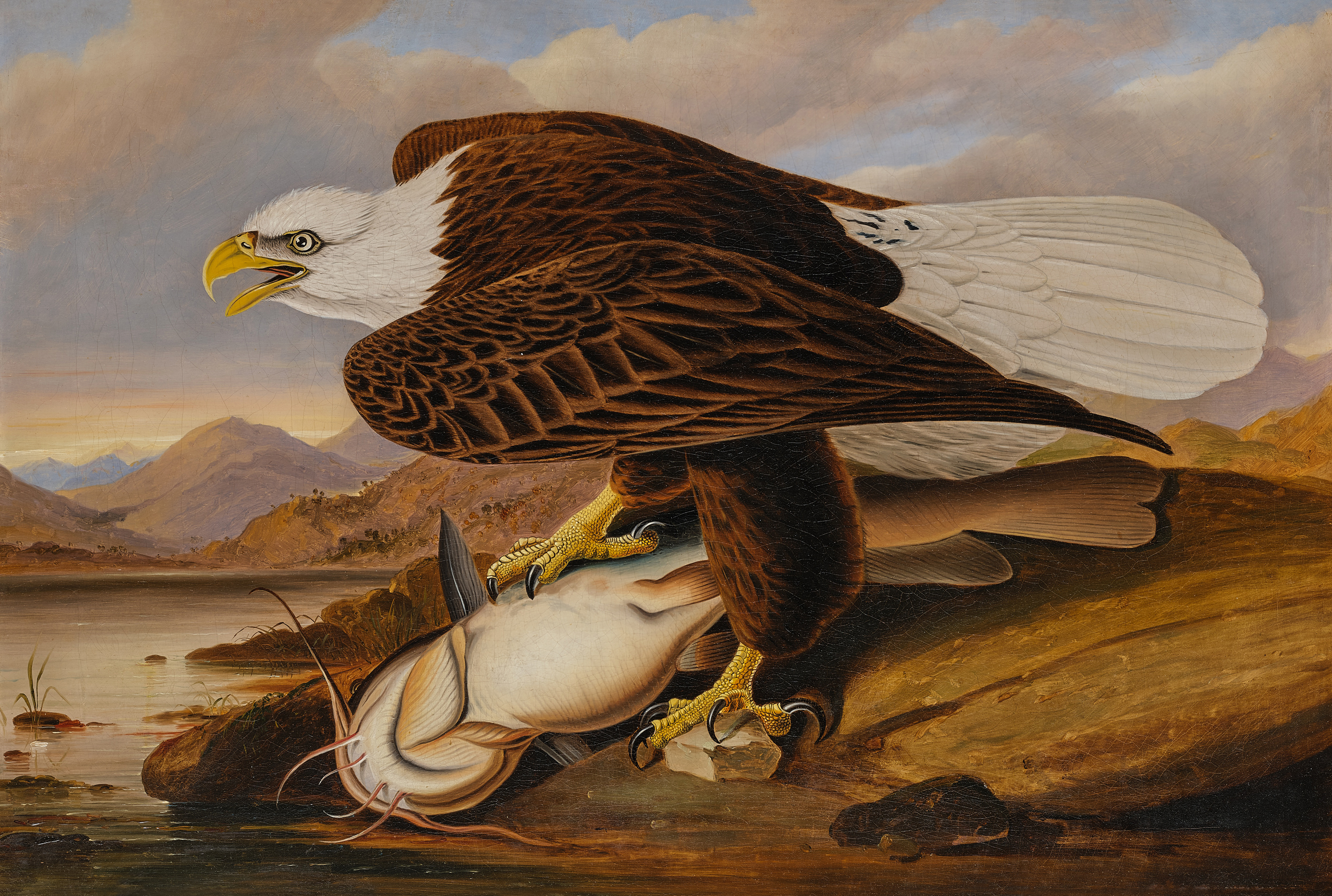Art of the Americas